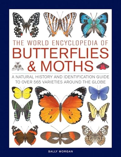 The 100 Most Beautiful Butterflies in the World: A minimalist